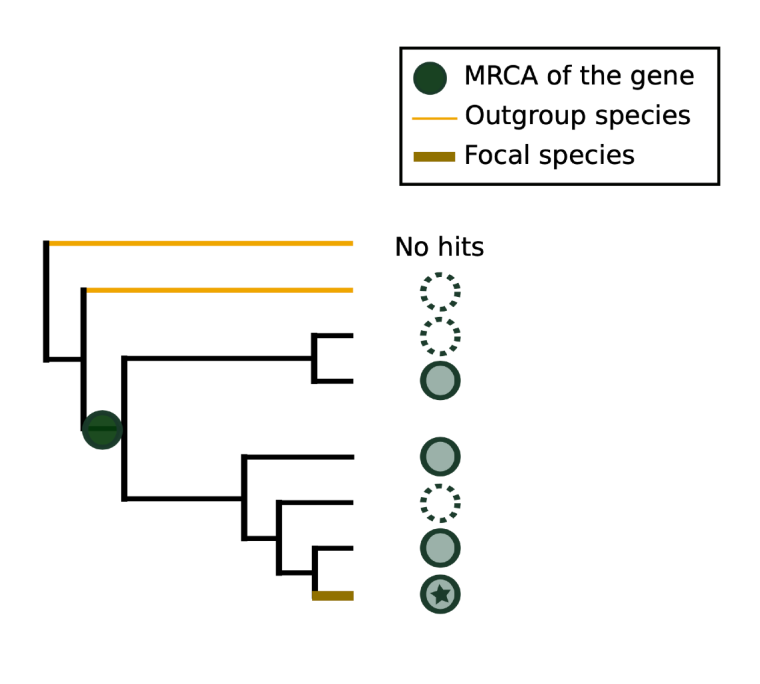 outgroup illustration