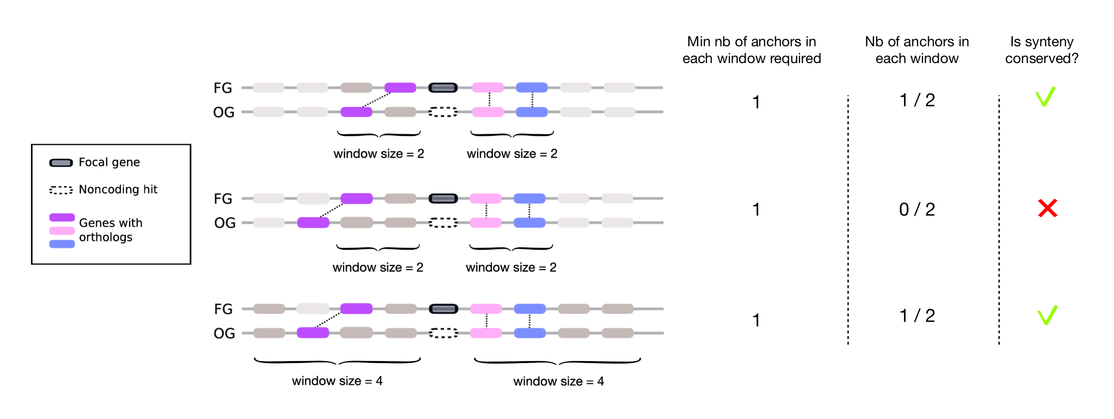 synteny illustration