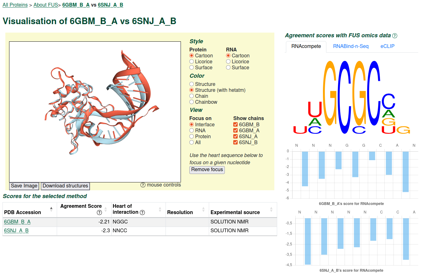 rnaprotci pair protein